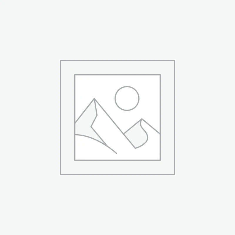 Shared Hosting Startup